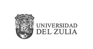 luz-logo-gris