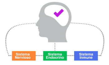 PNI diagrama